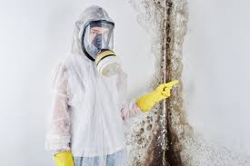 Mold Remediation for Rental Properties in Tarrytown, NY